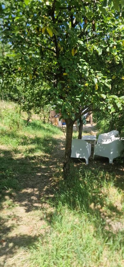 Casageo Cheile Nerei Sokolar Exterior foto