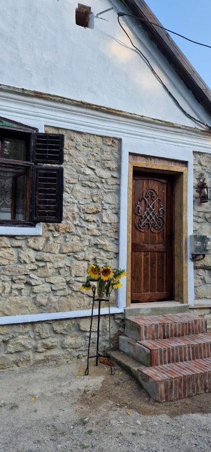 Casageo Cheile Nerei Sokolar Exterior foto